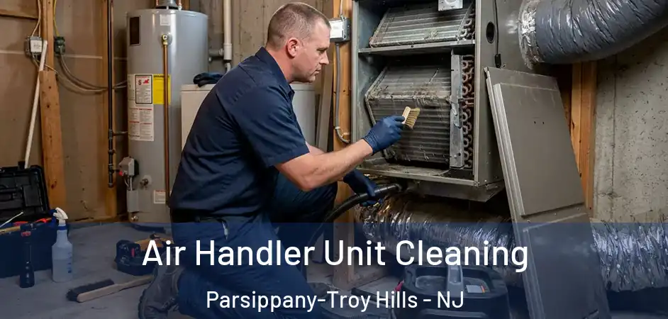 Air Handler Unit Cleaning Parsippany-Troy Hills - NJ