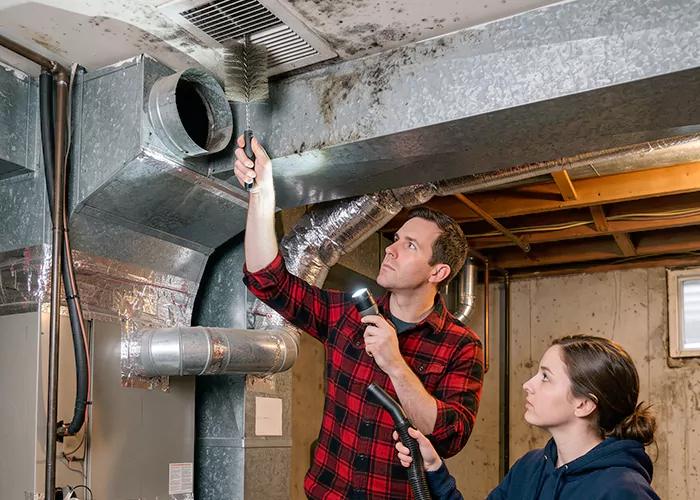 Premier HVAC Mold Remediation Company in Parsippany-Troy Hills